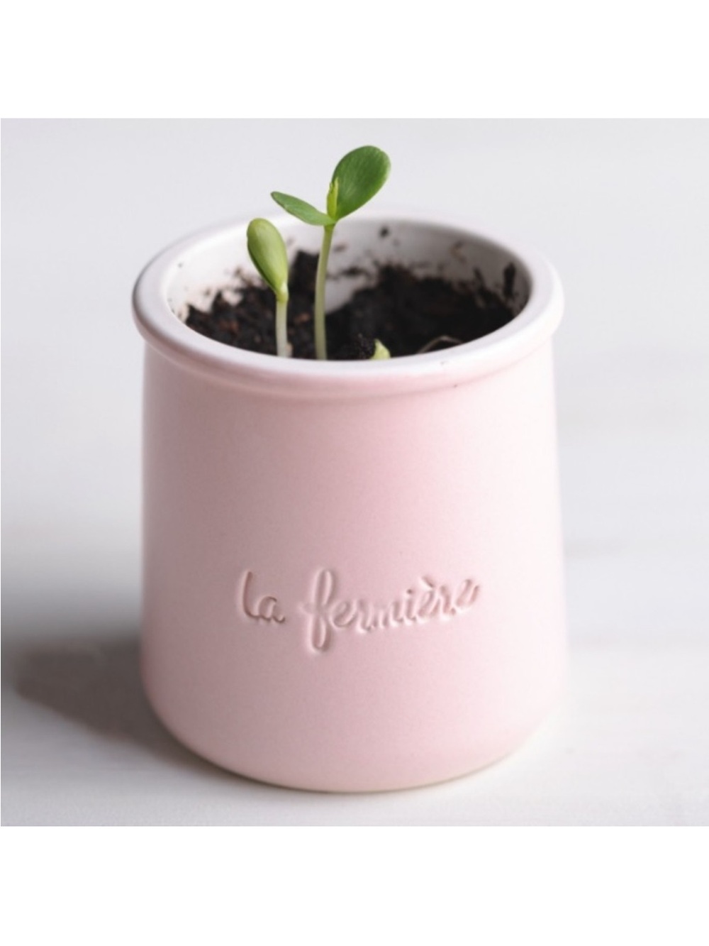 La Fermiere Soft Summer Limited Edition Glazed TerraCotta Pots Pink Blue Yellow🐚